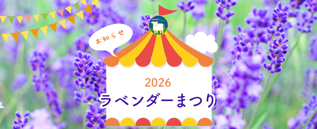 【終了しました】癒しの香りに包まれる、特別な1ヶ月。今年も「ラベンダーまつり」開催決定！
